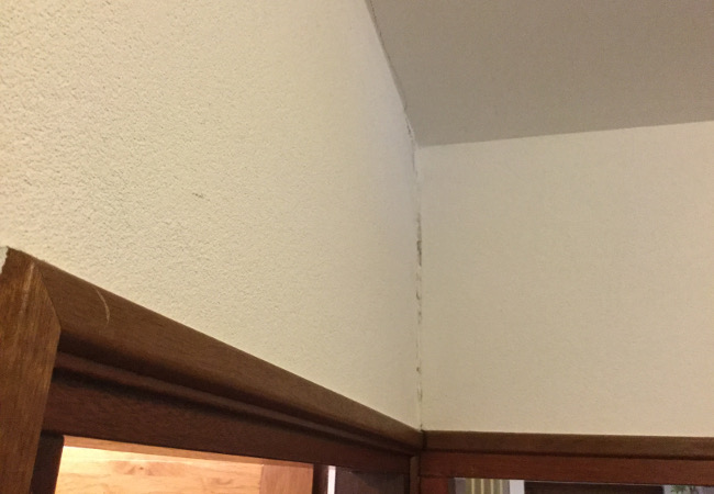 Compleet huis bijna 6 cm gelift Compleet huis bijna 6 cm gelift